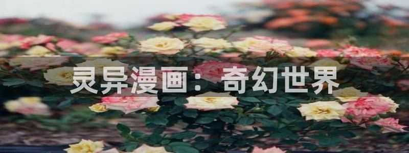 女神漫画进入口